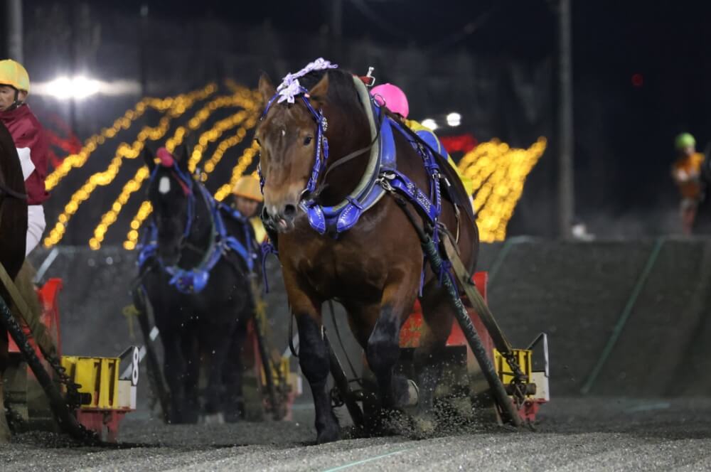 社長室に飾られた栄冠